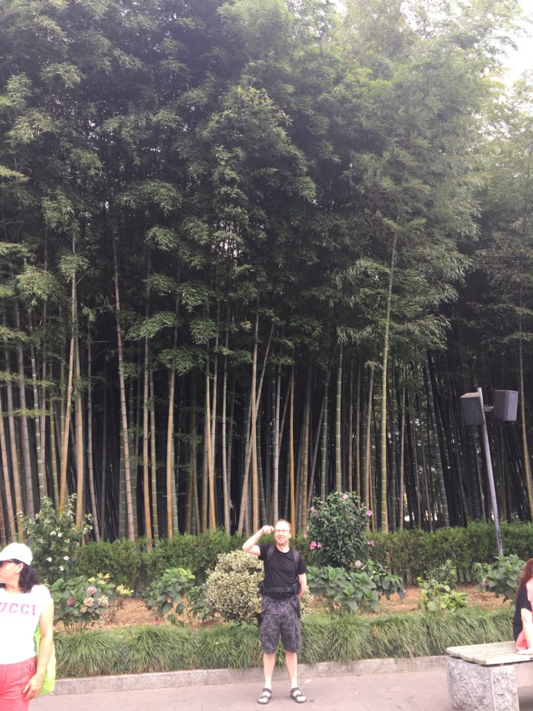 Bambus im Park in Batumi