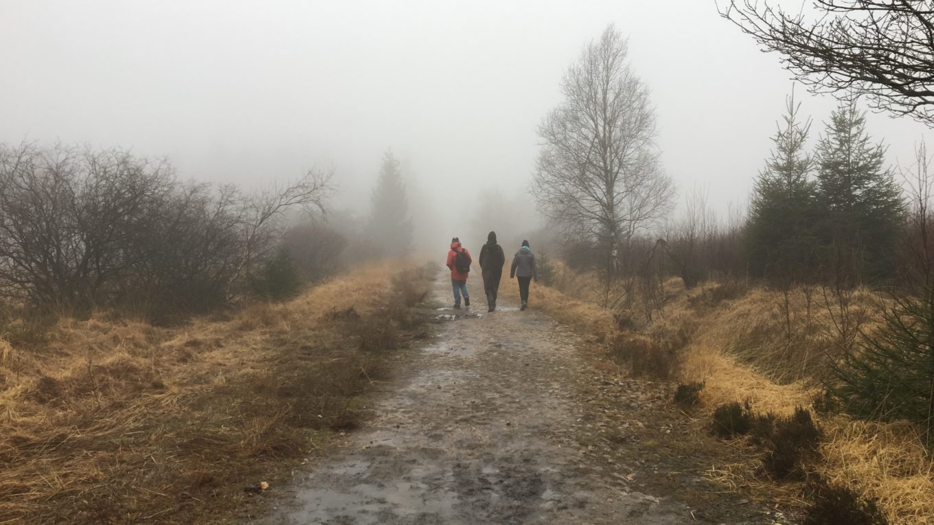 Wandern im Nebel